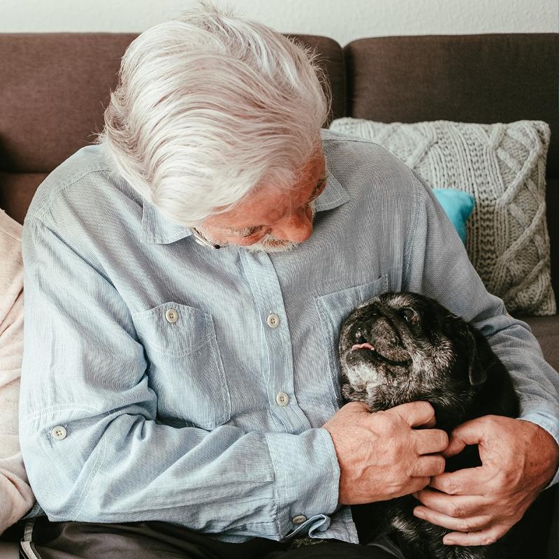 Tiso(Accademia IC): “Valore terapeutico del rapporto anziani-animali”